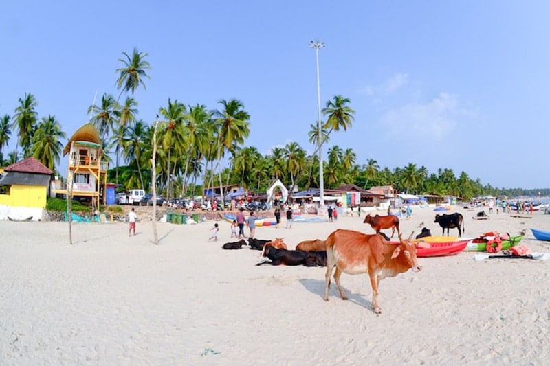 Goa tourism on Palolem Beach