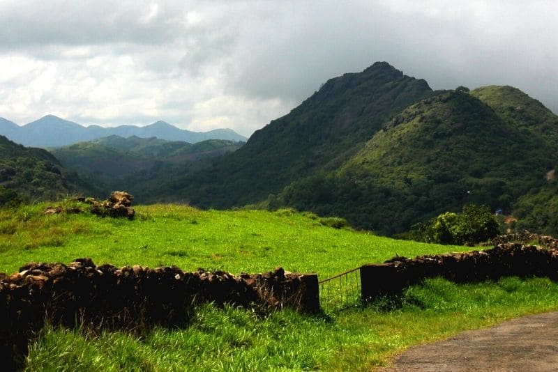 cycling vacations in the lush green Vagamon, India 