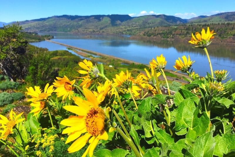 The Columbia River Gorge, one of Oregon's outdoor adventure travel destinations