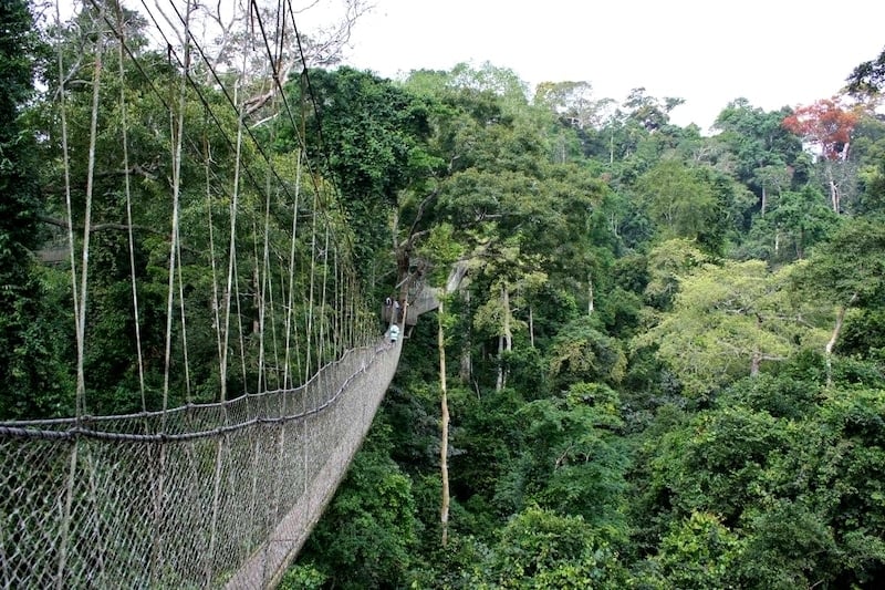 planning a trip to africa's Canopy bridge at Kakum National Park in Ghana