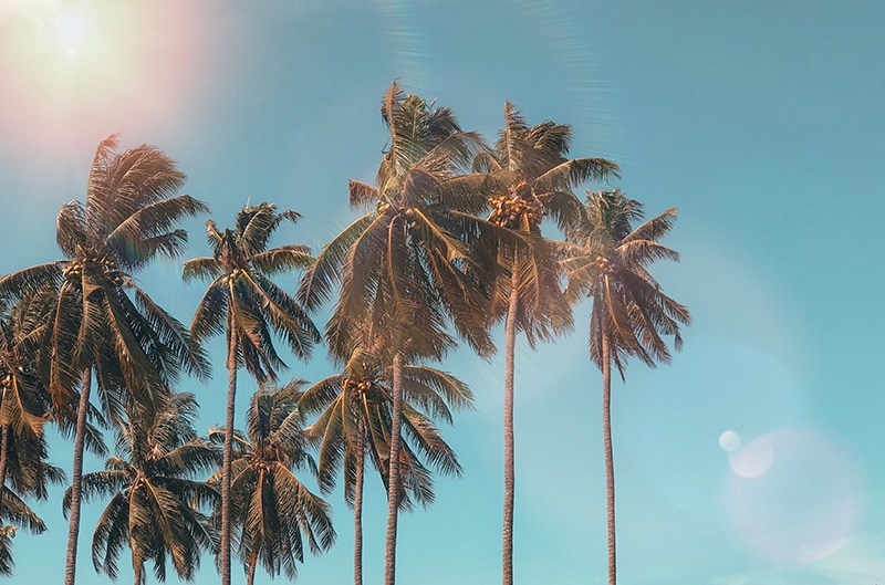 Visiting Palm Springs while traveling America - via MarcTutorials/Pexels